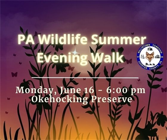 PA Wildlife Summer Evening Walk on June 16 at 6 pm