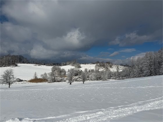 Okehocking Preserve December 2025