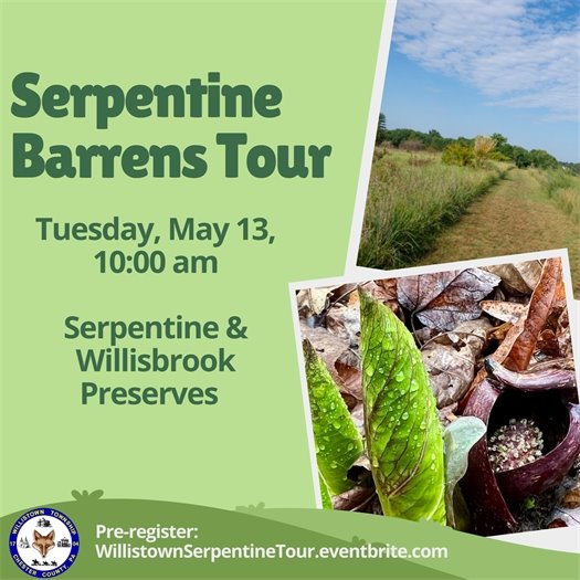 Serpentine Barrens Tour