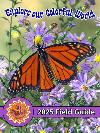 Willistown's GO WilMa! outdoor adventure program kick off June 17.