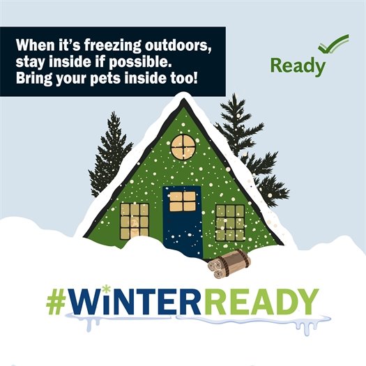 When it's freezing outdoors, stay inside if possible! Bring your pets inside, too! #WinterReady