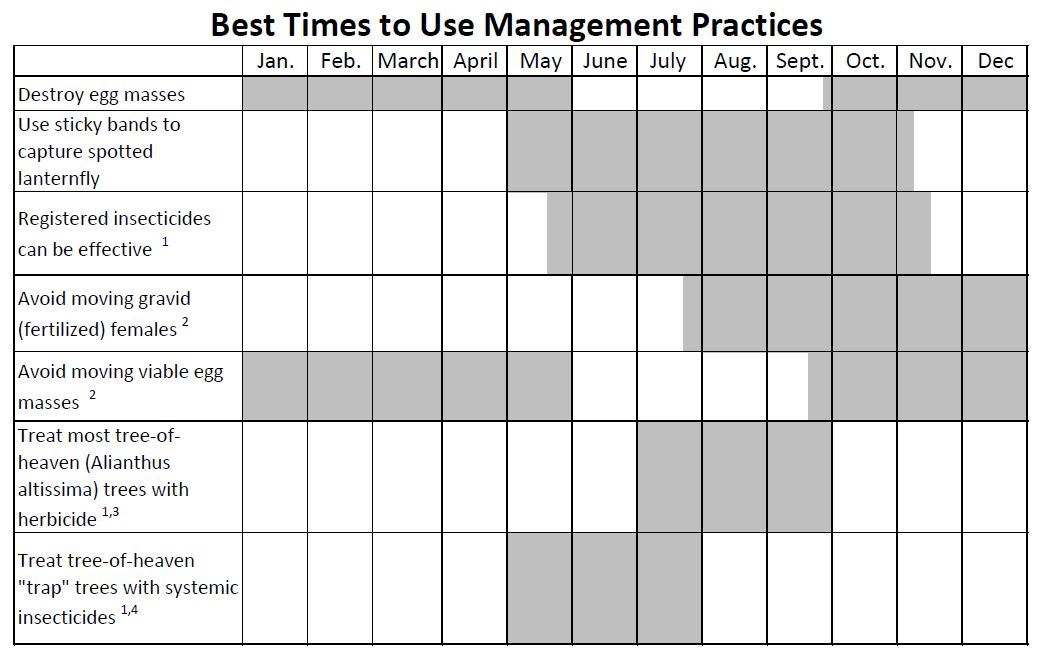 Spotted Lanternfly Management Calendar