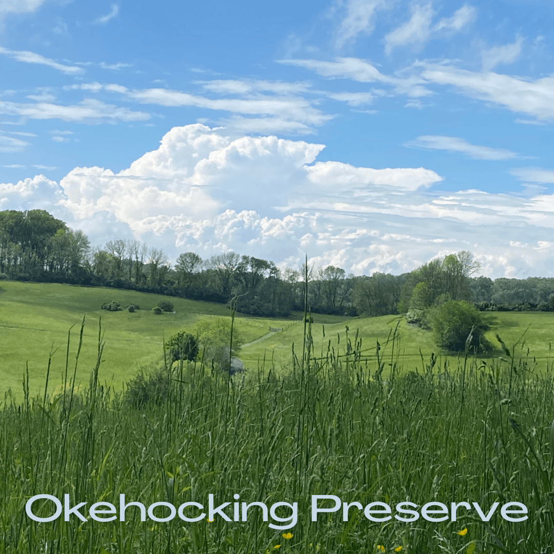 Okehocking Preserve Hundt photo with lettering